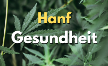 Hanf Gesundheit